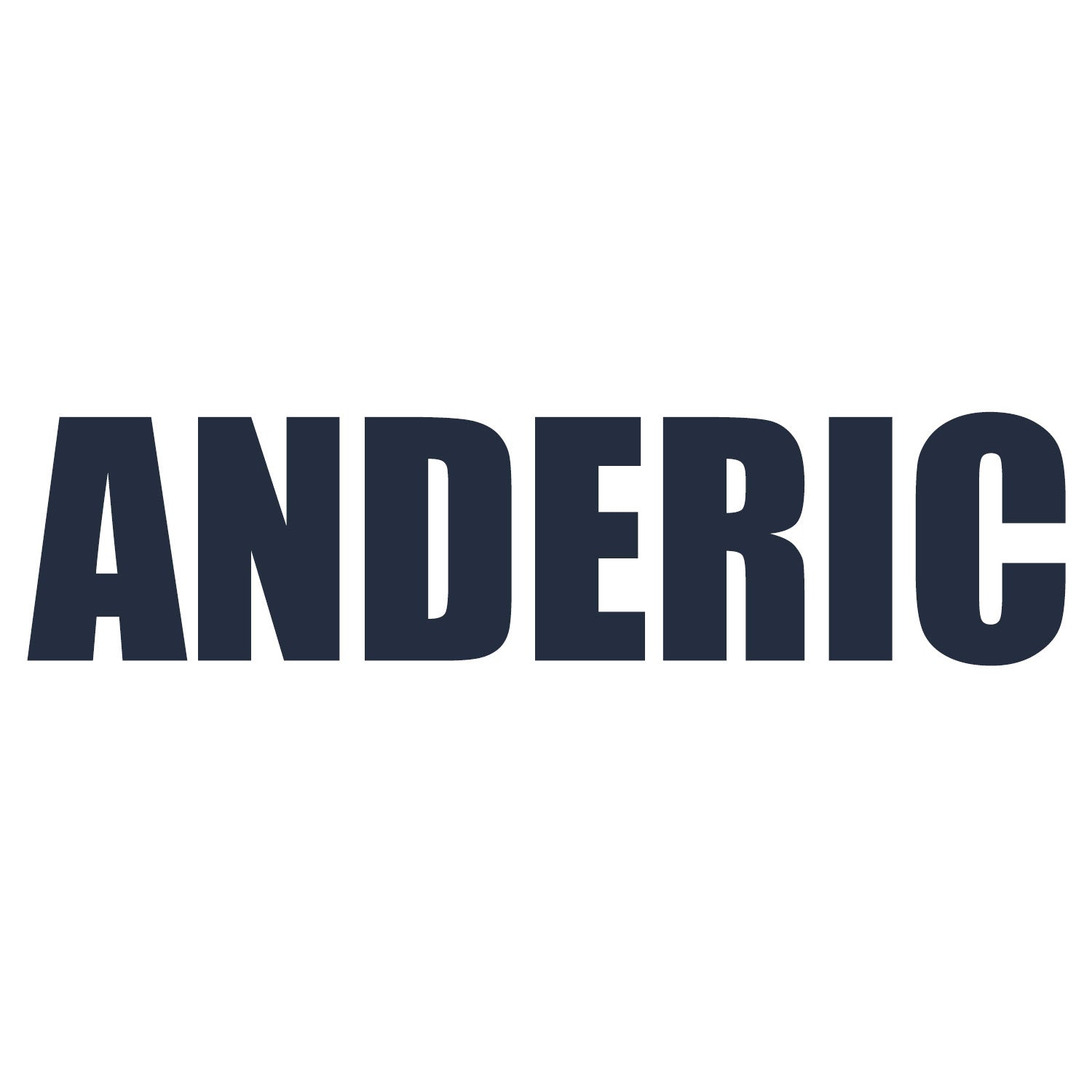 Anderic logo