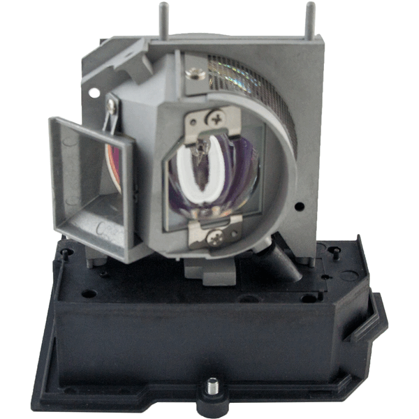 Generic EC.J9300.001 Projector Lamp Assembly