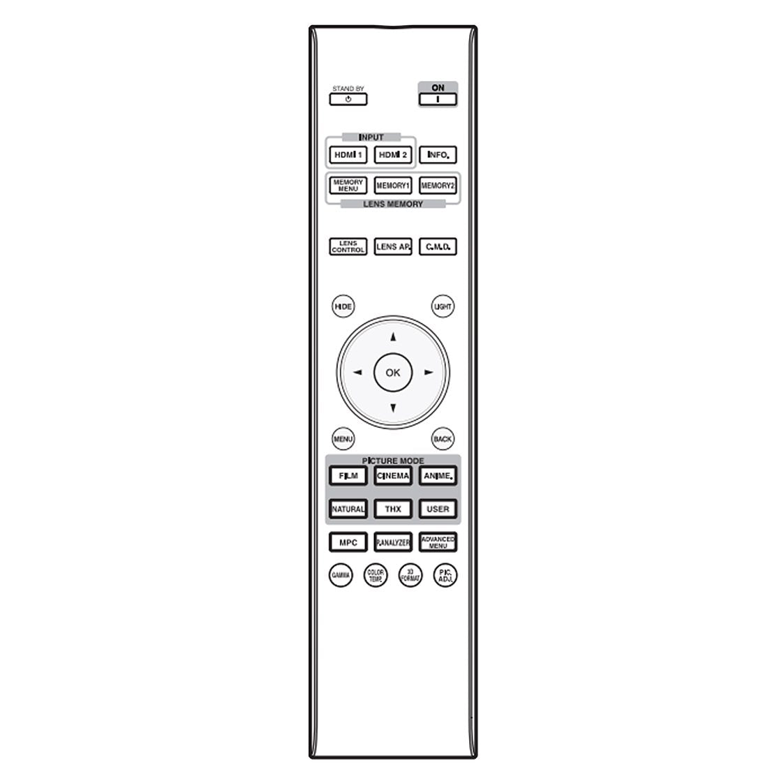 JVC RMMH22G Projector Remote Control